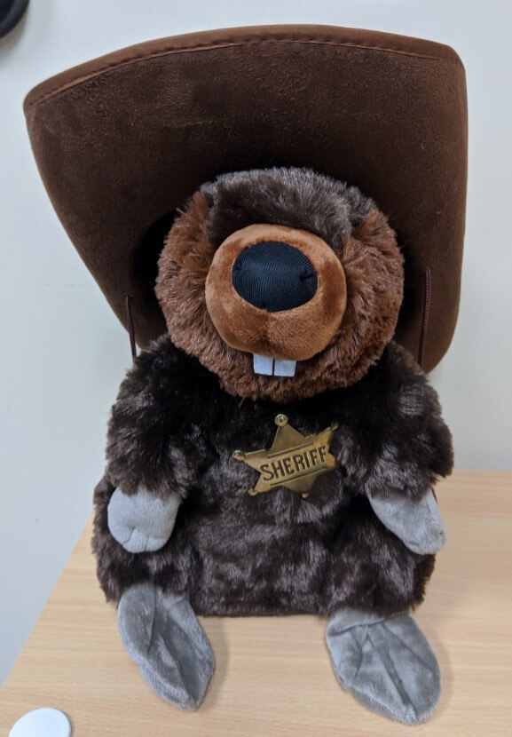 A stuffed beaver in a cowboy hat and sheriff's badge.